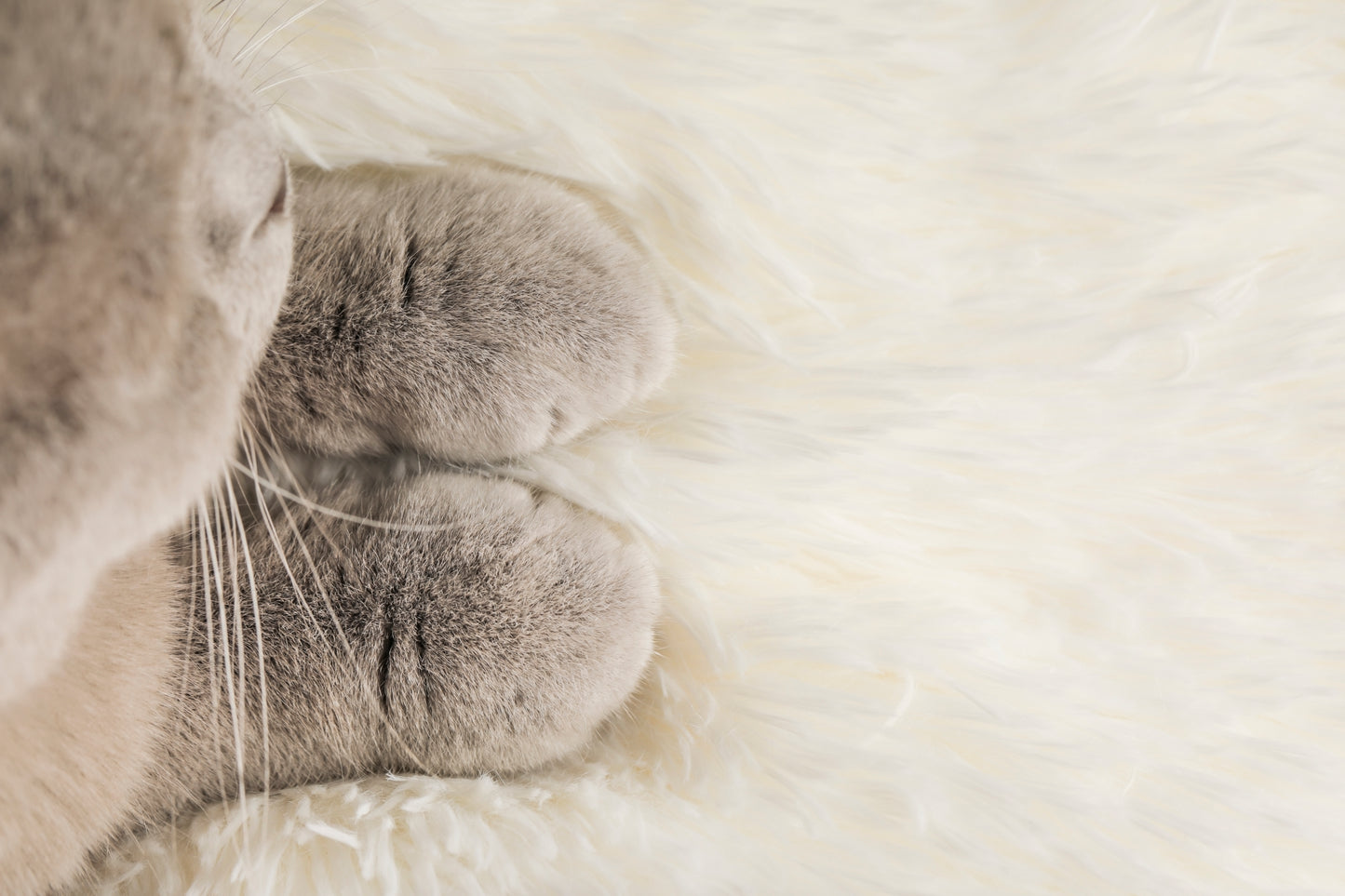 LUNA Loaf Blanket